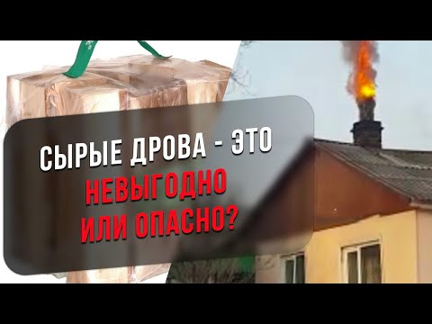 Видео: В чем опасность сырых дров? Где брать сухие дрова? Чем топить камин?