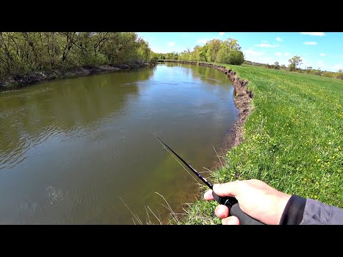 Видео: КОМУ РАССКАЗАТЬ - не поверят!! ВЕРНУЛСЯ и НАЛОВИЛ НА БЕНЗИН! Рыбалка и природа, как в сказке!