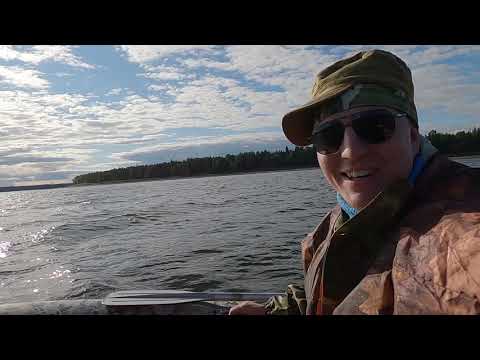 Видео: Рыбалка на Печоре  Август 2020