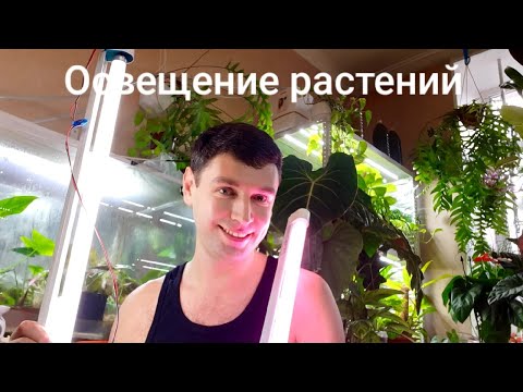 Видео: Освещение растений. Мои лампы и на чем я остановился.