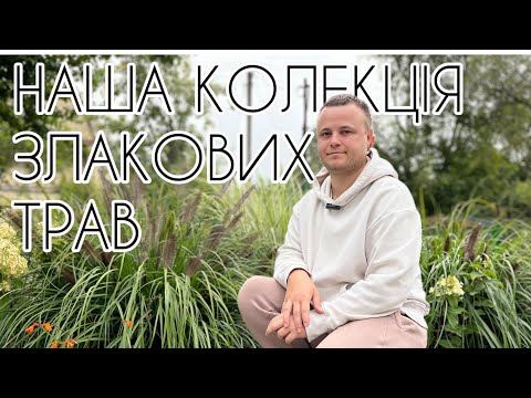 Видео: КОЛЕКЦІЯ ЗЛАКОВИХ ТРАВ 🌾 Сад, що захоплює погляд восени