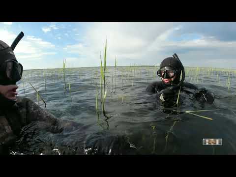 Видео: 2021 №7 ОЧЕНЬ МНОГО ЛЕЩА