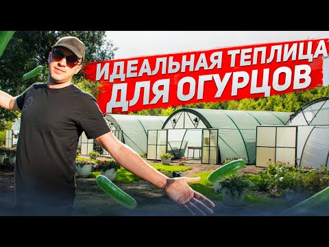 Видео: Идеальная теплица ДЛЯ ОГУРЦОВ