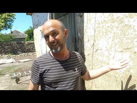 Видео: #Pigeons. Голуби - Бухара Бойные в селе Грушевское. Программа - Фермерский Портал.