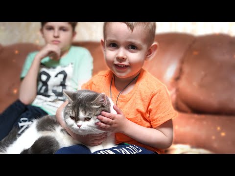 Видео: У ДАНЬКИ НОВЫЙ ДРУГ🐱