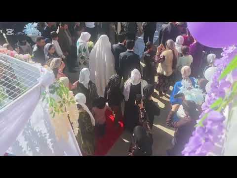 Видео: Туйхона