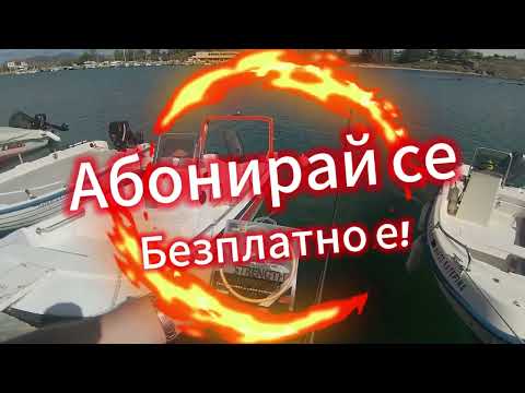 Видео: Какво се лови на Авдира