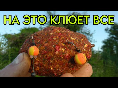 Видео: ЭТО ВЫЛОВИТ ВСЕХ САЗАНОВ И КАРПОВ #рыбалка #флэт #фидер #карп #карась