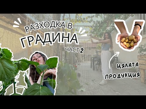 Видео: Обиколката на цветната градина и какво крие в кофата с картофи