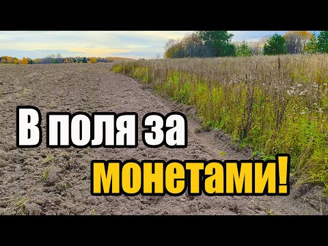 Видео: Поехал искать клад, а получил приключение. Реальный коп по осенним полям
