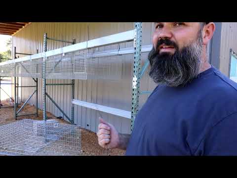 Видео: Лучшие подвесные клетки для кроликов | KW Cages