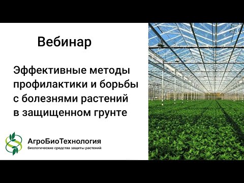 Видео: Вебинар "Эффективные методы профилактики и борьбы с болезнями растений в защищенном грунте"