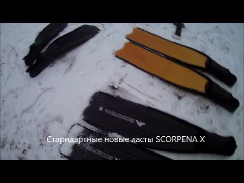 Видео: Тест ласт SCORPENA X и ГИДРОКОСТЮМА SPORASUB Baltic 9 мм ЗИМОЙ.