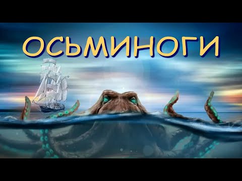 Видео: Осьминоги: земные инопланетяне| Познавательное видео про осьминогов| Удивительный мир беспозвоночных