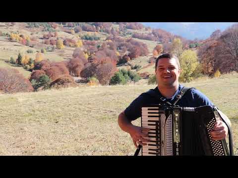 Видео: Владимир Димитров - Добрице, моя дощерьо 🍂🍁🧡