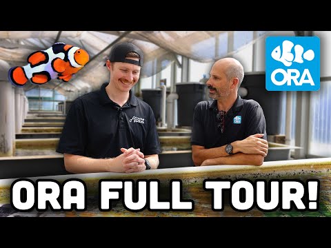 Видео: Мы получили ПОЛНЫЙ доступ к аквакультурному комплексу ORA! Вы не поверите, что мы увидели!