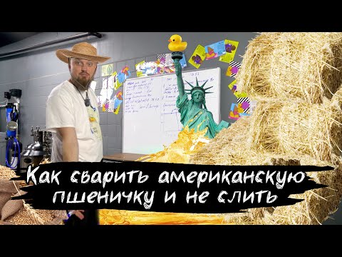 Видео: Варим Американскую Пшеничку