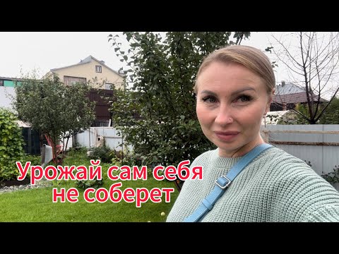 Видео: Улетела из Москвы!