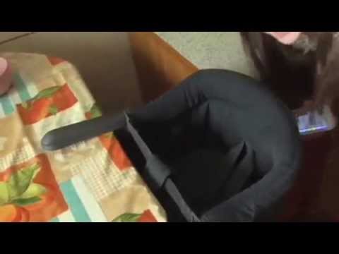 Видео: Подвесной стульчик для кормления Inglesina Fast.