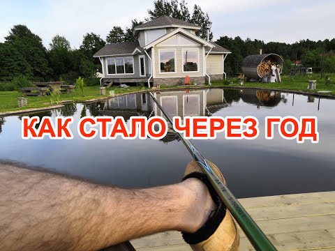 Видео: Пруд без фильтров, как сделал берега в пруду дешево, обзор через год