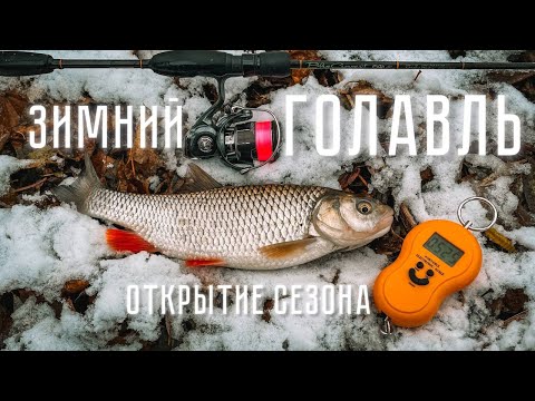 Видео: ЗИМНИЙ ГОЛАВЛЬ на ультралайт! Ловля на малой реке с новой Daiwa Luvias 2024. УЛОВИСТЫЕ приманки.