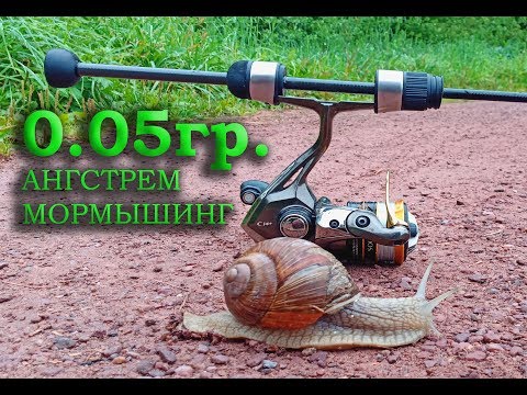 Видео: 0.05гр. Åнгстрем Мормышинг ?