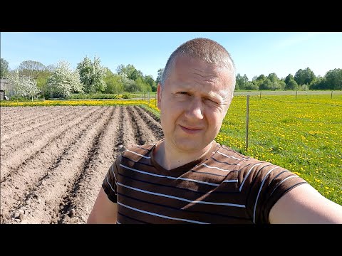 Видео: Начало весенне-огородных работ 2024г. Почвофреза, плуг и культиватор с трактором Т25