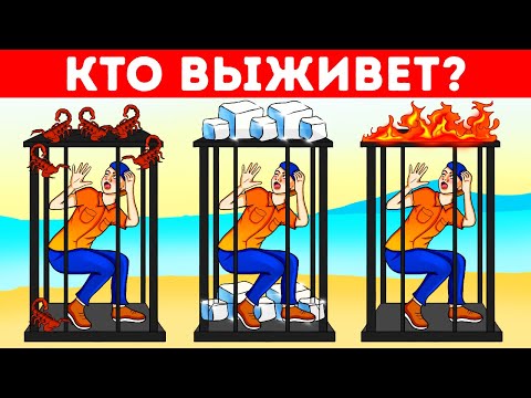 Видео: Большой турнир с загадками для самых умных мыслителей