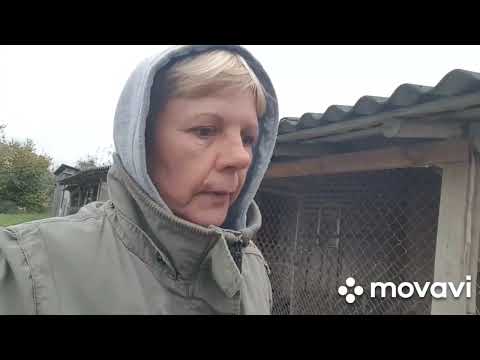 Видео: ЖИВЕМ В ДЕРЕВНЕ/ БЕЛАРУСЬ.Для чего нам дом в деревне?Вкусный борщ.