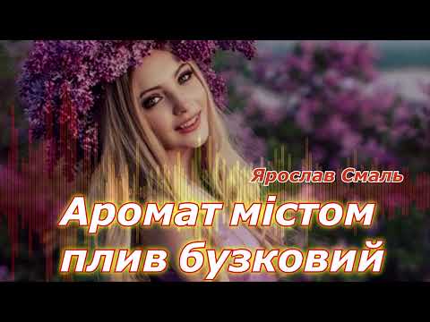 Видео: Ярослав Смаль - Аромат містом плив бузковий / Старий хіт по новому