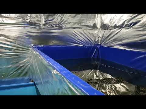 Видео: Побудова ферми по вирощуванню АККР і що для цього потрібно.