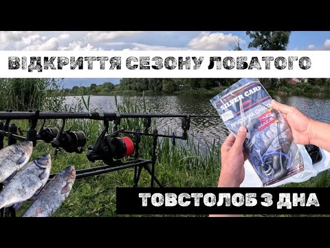 Видео: ЛОВИМО ТОВСТОЛОБА З ДНА! ВІДКРИТТЯ СЕЗОНУ.  НОВА СНАСТЬ ДЛЯ ЛОБАТОГО