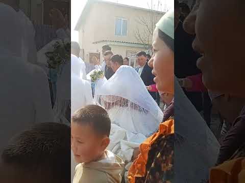 Видео: БАХТЛИ.  БУЛИСИН.  