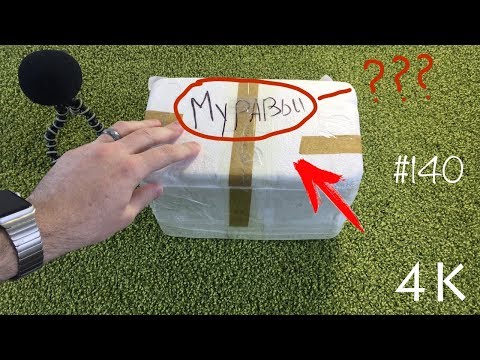 Видео: Вот эта посылка уже интереснее будет 🐜 Муравьи из Китая