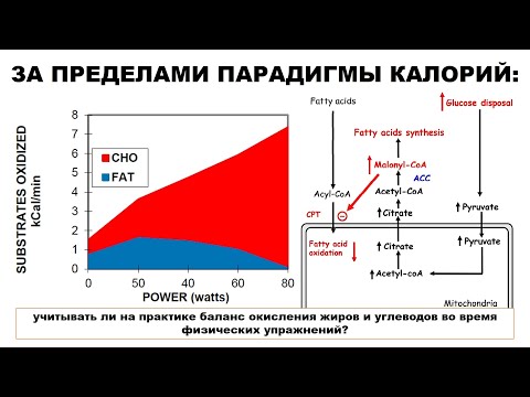 Видео: ЗА ПРЕДЕЛАМИ ПАРАДИГМЫ КАЛОРИЙ