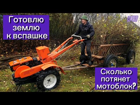 Видео: Готовлю землю к вспашке. Сколько потянет тяжелый дизельный мотоблок?