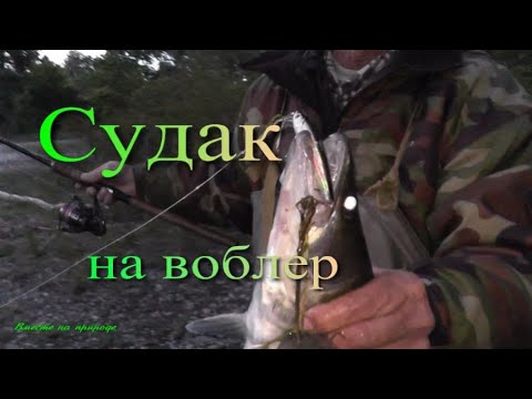 Видео: СУДАКИ НА ВОБЛЕР. ВЕЧЕРНЯЯ РЫБАЛКА. ОТЛИЧНЫЙ УЛОВ !!! #рыбалка #спиннинг #судак