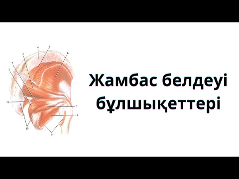 Видео: ЖАМБАС БҰЛШЫҚЕТТЕРІ. ЖАМБАС БЕЛДЕУІ БҰЛШЫҚЕТТЕРІ.