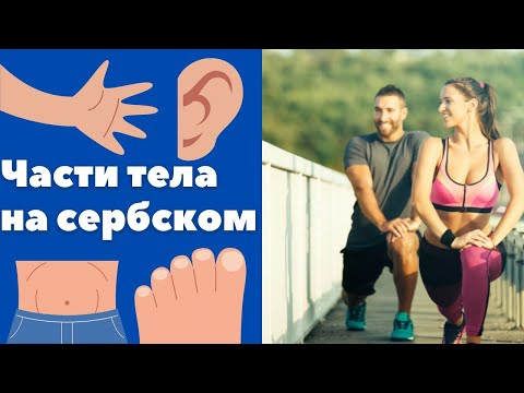 Видео: Части тела по-сербски || Уроки сербского языка