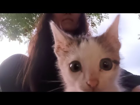 Видео: Асмр отдохни вдали от городской суеты в моем саду 