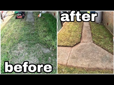 Видео: Я постучал в чужую дверь с этим предложением... [Переустройство двора]