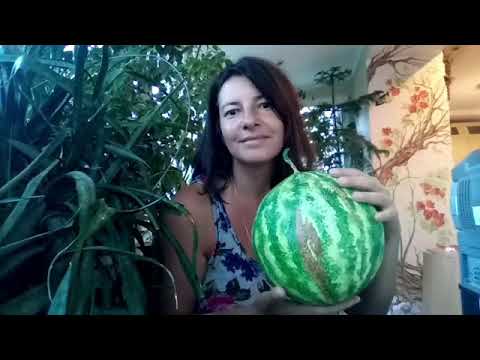 Видео: Создание реалистичного 🍉арбуза🍉 в технике папье-маше.