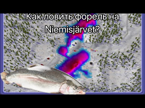 Видео: КАК ЛОВИТЬ ФОРЕЛЬ НА NIEMISJÄRVET?