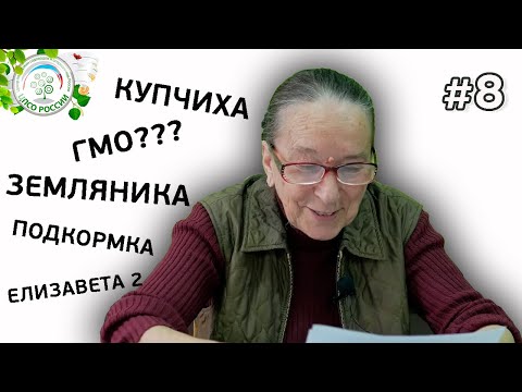 Видео: ГМО? Купчиха. Елизавета 2. Подкормка земляники. Ответы на вопросы по выращиванию клубники.