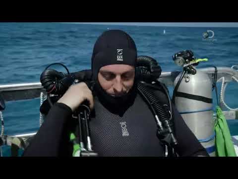 Видео: Речные монстры сезон 8 серия 6 HD