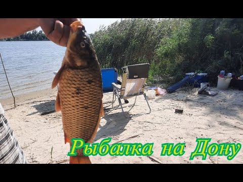 Видео: Ночная рыбалка на Дону. Секрет хорошего улова. На что ловили сазана?