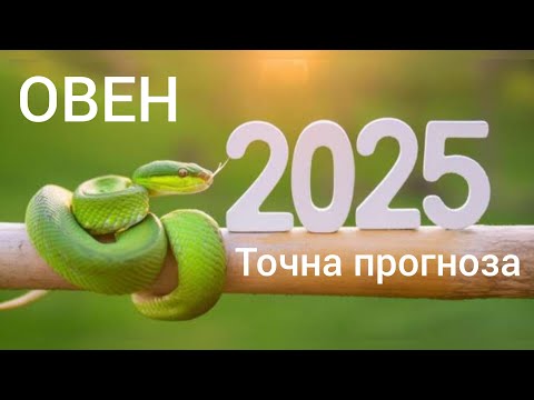 Видео: ОВЕН ♈ Годишна таро прогноза хороскоп за 2025 година🍀Важни акценти #хороскоп #овен #tarotreading