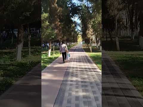 Видео: Массив Корасув.Иду к стоматологу."Диляблог# #МассивКорасув#