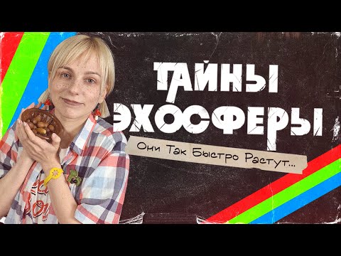 Видео: Последняя, самая восхитительная улыбка года #3 | Они так быстро растут | Тайны Эхосферы | НРИ