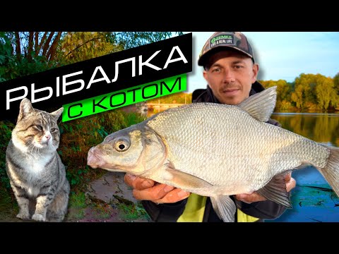 Видео: ЛОВЛЯ ЛЕЩА НА РЕКЕ / РЫБАЛКА НА ФИДЕР / FROS FISHING